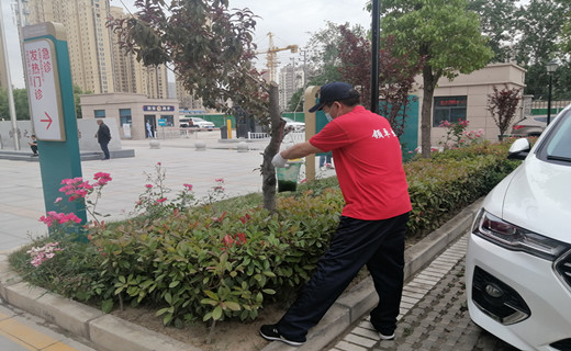 工廠(chǎng)滅蚊蠅